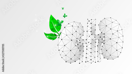 Healthy Kidneys, human organ with green leaves and butterfly. Adult body anatomy, health biology. Low poly, wireframe 3d vector illustration. Abstract, polygonal image on white origami background