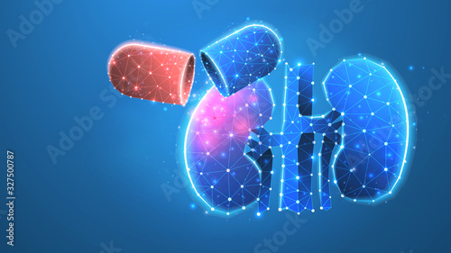 Human Kidneys treatment. Capsule with medicaments, vaccine in a pill. Low poly, wireframe 3d vector illustration. Abstract, polygonal image on blue neon background