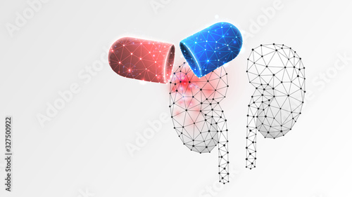 Human Kidneys medicaments in a capsule. treatment in a pill, vaccine concept. Low poly, wireframe 3d vector illustration. Abstract, polygonal image on white origami background