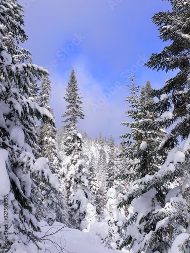 North America, Canada, Province of Quebec, Monts-Valin National Park, ghost trail photo