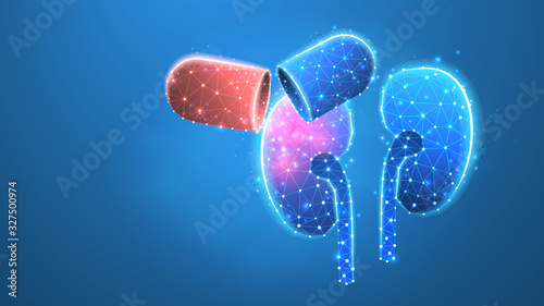 Human Kidneys treatment. Capsule with medicaments, vaccine in a pill. Low poly, wireframe 3d vector illustration. Abstract, polygonal image on blue neon background