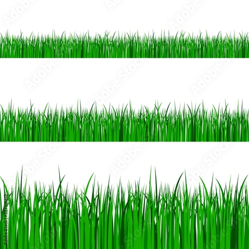 Green grass borders set on transparent vector background. Spring or summer plant field lawn. Vector illustration