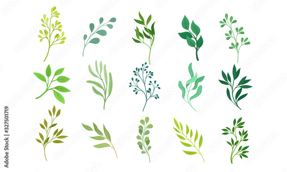 Green Twigs and Branches with Leaves Vector Set - obrazy, fototapety, plakaty 