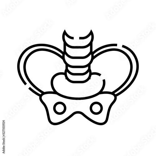Pelvic bones line icon, concept sign, outline vector illustration, linear symbol.