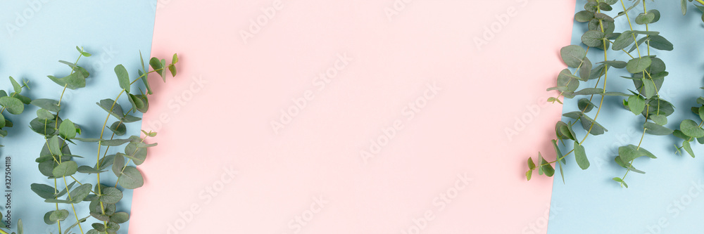 Frame made of eucalyptus branches on a pink and blue pastel background. Banner template with place for text. Frame made of eucalyptus branches on a pink and blue pastel background. Banner template with place for text.