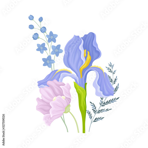 Floristic Composition with Purple Showy Iris Flower on Green Erect Stem Vector Illustration