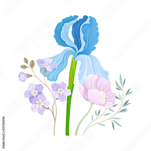 Floristic Composition with Purple Showy Iris Flower on Green Erect Stem Vector Illustration