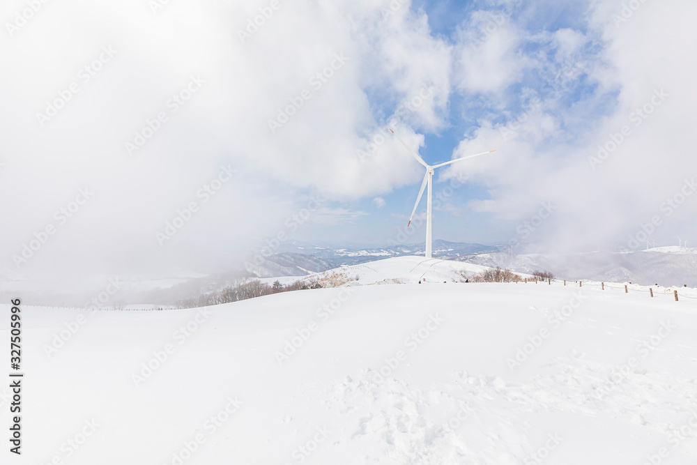 Daegwallyeong Sky sheep Ranch in Gangwon Province in winter Snowfall Daegwallyeong Sky sheep Ranch in Gangwon Province in winter Snowfall