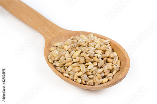 Raw pearl barley in wooden spoon closeup on white background