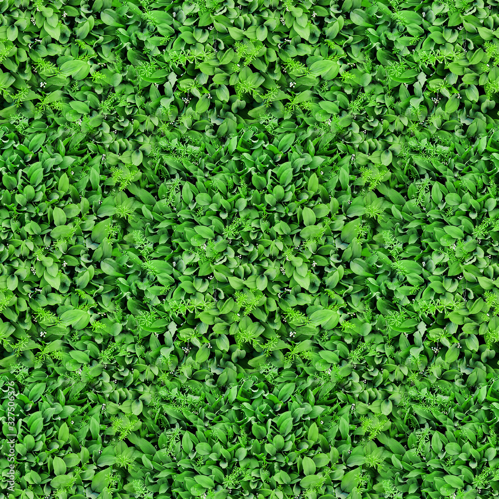 Seamless texture of green leaves and flowers of lilies of the valley. View from above Seamless texture of green leaves and flowers of lilies of the valley. View from above