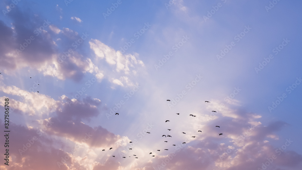 Fototapeta premium Rays of light pass through clouds on a blue and pink sky at sunset