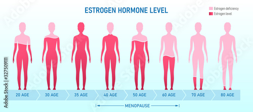 Creative vector illustration of estrogen hormone level, menopause chart infographic background. Female sex hormone template. Abstract concept estrogen level, representative testosterone charts photo