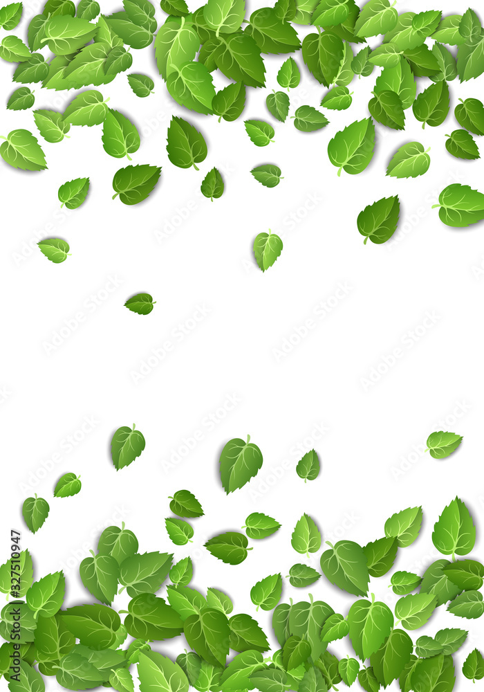Flying green leaves on white background. Spring leaf vertical pattern on isolated backdrop. Fall fresh leaves plant. Vector illustration Flying green leaves on white background. Spring leaf vertical pattern on isolated backdrop. Fall fresh leaves plant. Vector illustration
