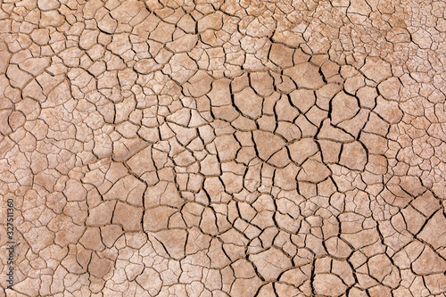 The parched cracked earth of Amboseli
