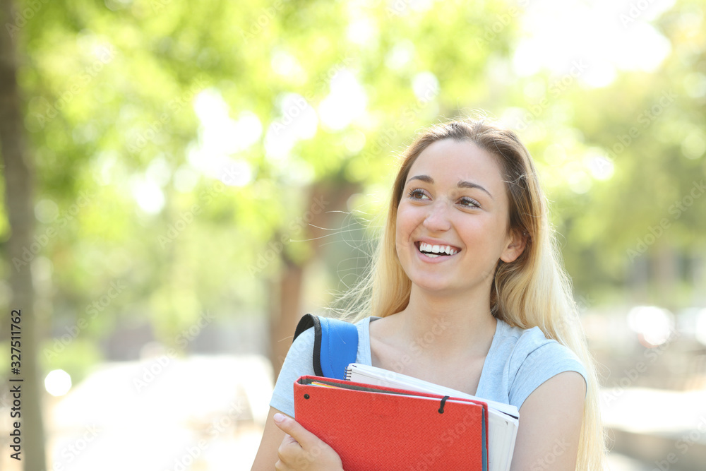 Happy student thinking looking at side in a park Happy student thinking looking at side in a park