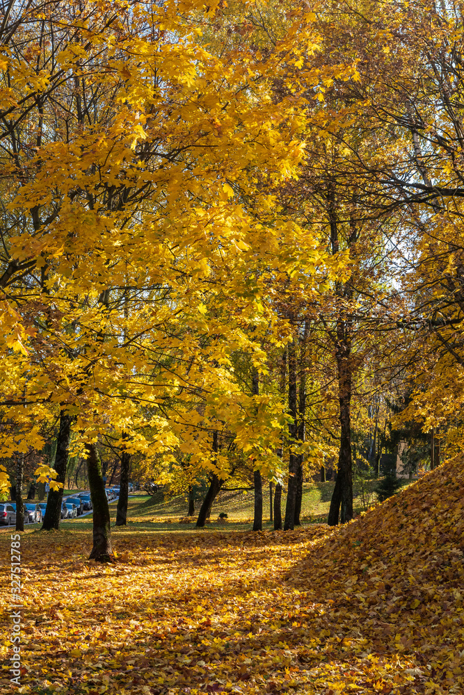 Vilnius in the autumn