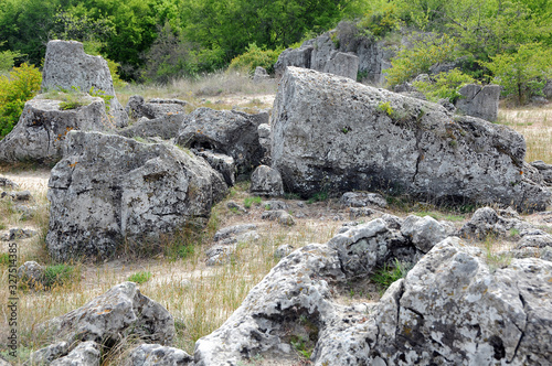 Stone forest Pobiti Kamani in May