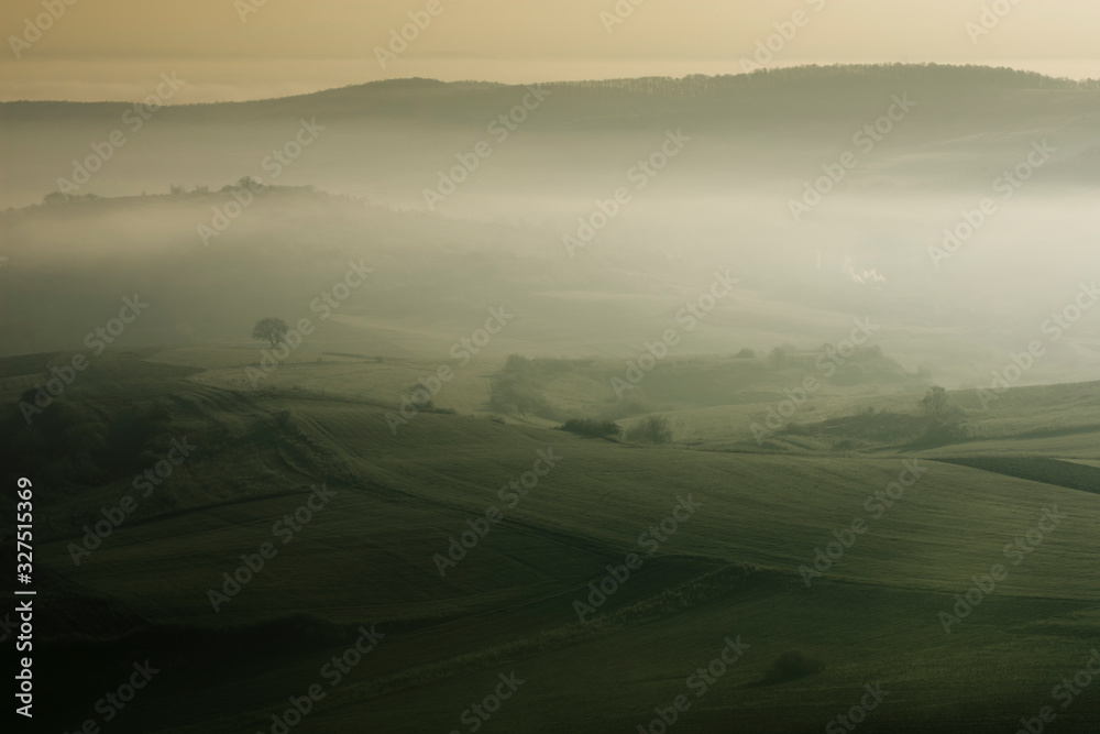 morning light in misty landscape with tree on hill morning light in misty landscape with tree on hill