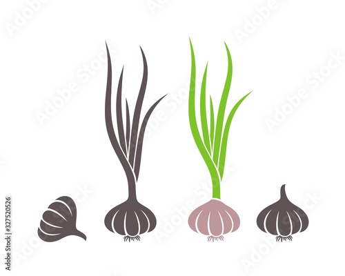 Garlic logo. Isolated garlic on white background