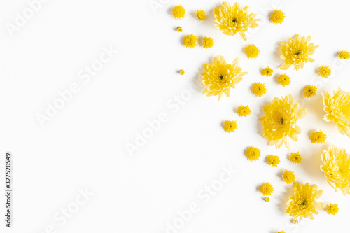 Flowers composition. Yellow chrysanthemum flowers on white background. Flat lay, top view © Flaffy