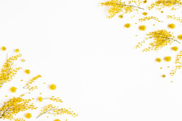 Flowers composition. Frame made of yellow flowers on white background. Spring concept. Flat lay, top view