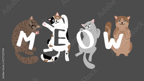 Meow slogan. Cute doodle cats and letters. Sleeping cat vector illustration