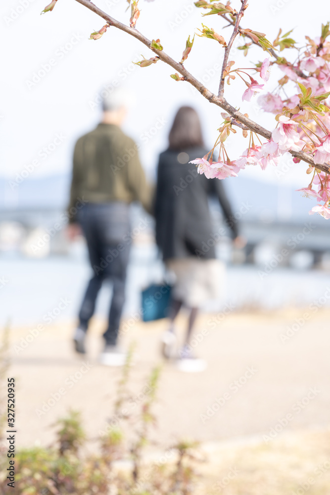 春に父親と散歩する女性 春に父親と散歩する女性