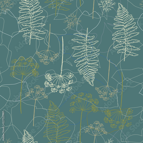Vector seamless pattern with hand drawn dill or fennel flowers and fern leave...