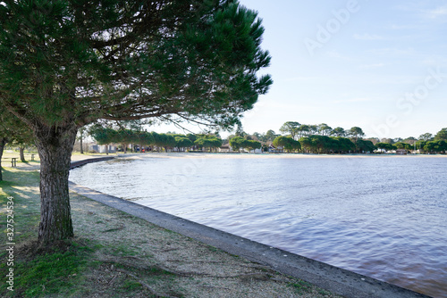 Fototapeta Naklejka Na Ścianę i Meble -  water beach lake in Gironde France in Maubuisson Carcans village
