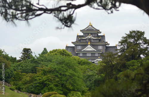 A tree branch frames the view of Matsumoto Castle in Japan. The castle is black with gold details. A public park filled with trees is in the foreground.