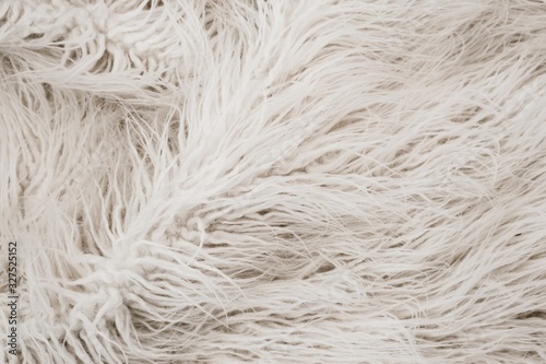 Texture of white shaggy fur.