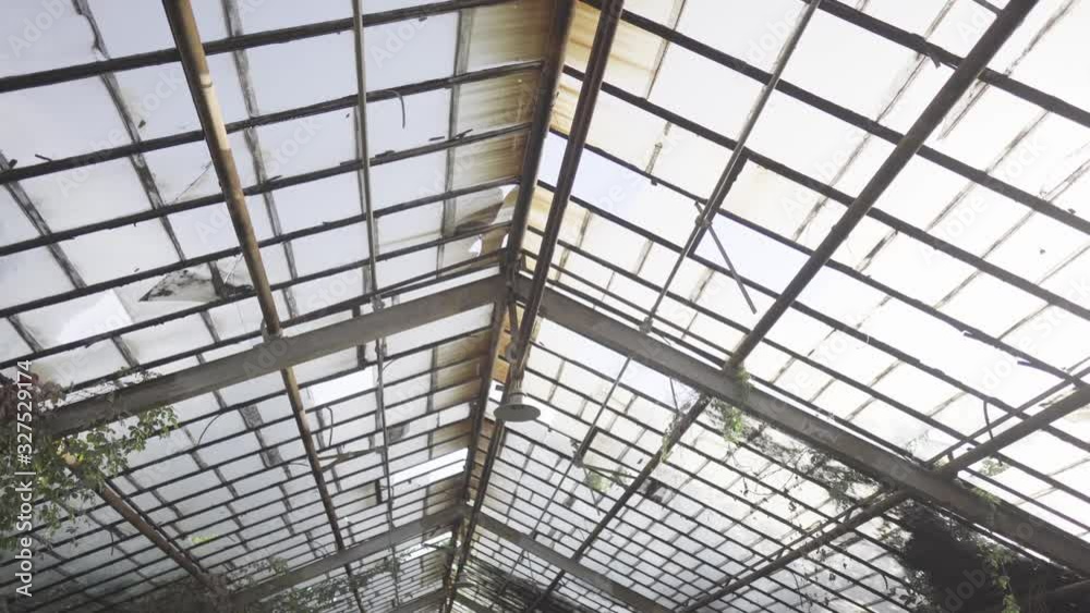 Dynamic shot of the glass roof of a flower greenhouse braided by green plants