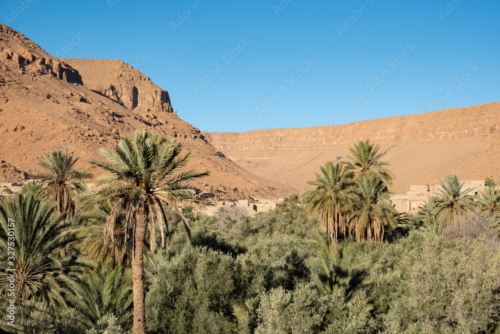 Oasis in the valley of the Ziz River on the southern edge of the Atlas Mountains