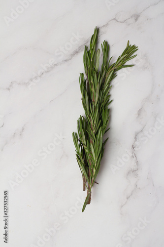sprig of fresh green rosemary on a white background