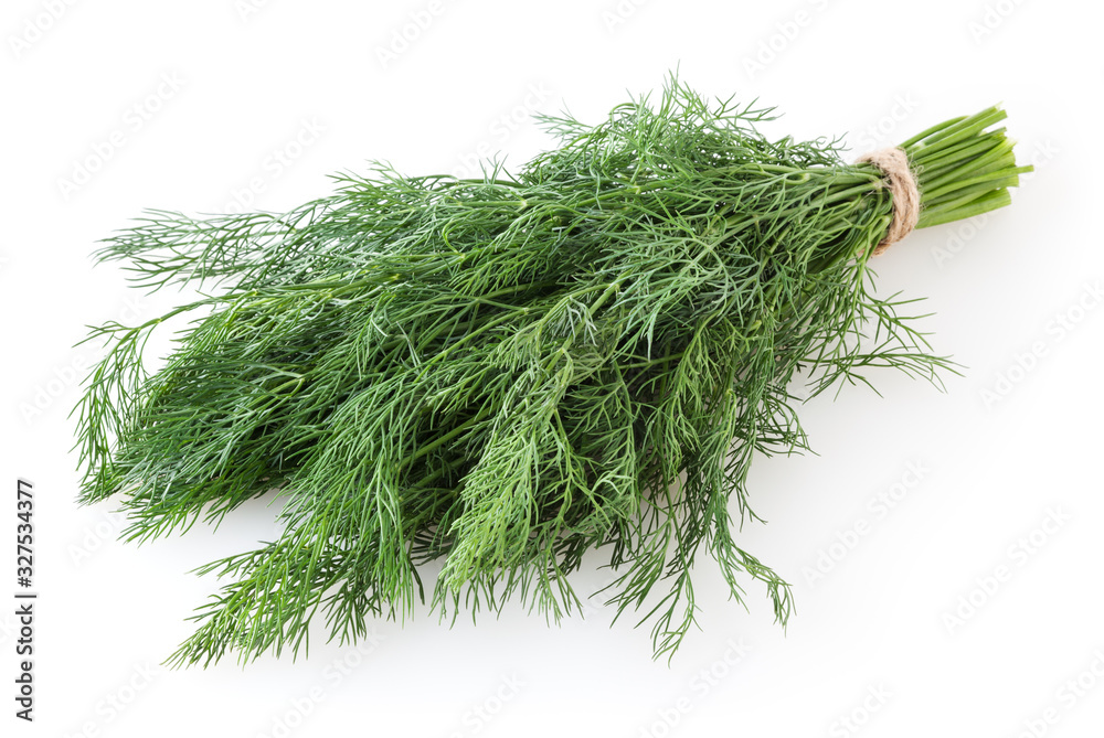 Bunch of fresh dill isolated on white background