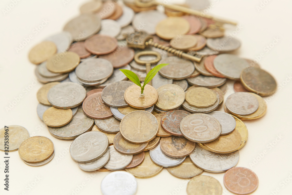 Coin sapling and alarm clock in the piggy bank Coin sapling and alarm clock in the piggy bank