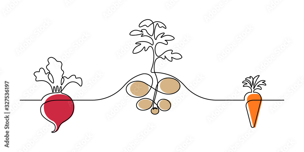 Vegetable plants design in continuous line art drawing style. Growing