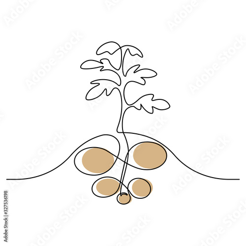Simple potato plant design in continuous line art drawing style. Growing potatoes on the field. Vector illustration