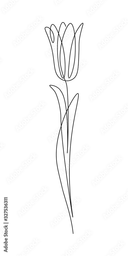 Tulip flower in continuous line art drawing style. Minimalist black linear sketch isolated on white background. Vector illustration Tulip flower in continuous line art drawing style. Minimalist black linear sketch isolated on white background. Vector illustration