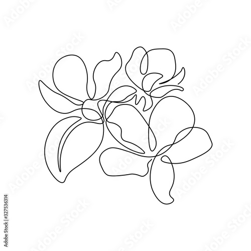 Spring apple tree blossom in continuous line art drawing style. Group of flowers with leaf black linear sketch isolated on white background. Vector illustration