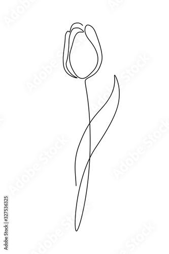 Tulip flower in continuous line art drawing style. Minimalist black linear sketch isolated on white background. Vector illustration