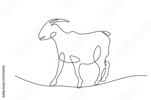 Goat in continuous line art drawing style. Minimalist black linear sketch isolated on white background. Vector illustration