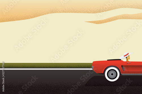 Summer travel vector poster with red roadster on road and classy woman driver. Retro flyer, leaflet for summer vacation.