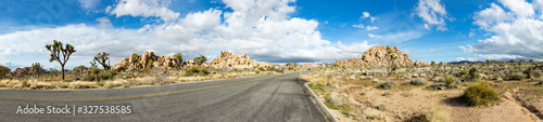 landscape with joshua trees in the desert