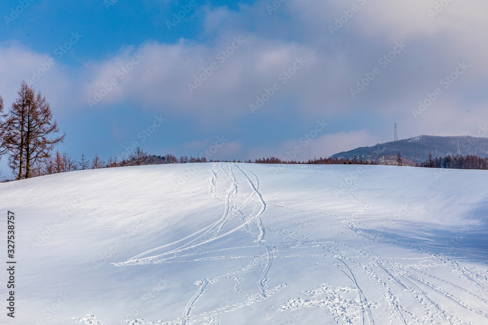 Winter snowfall landscape in Daegwallyeong area, Gangwon-do