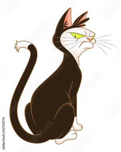 Gloomy cat back
