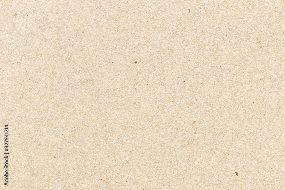 Fototapeta premium paper texture background, real cardboard pattern
