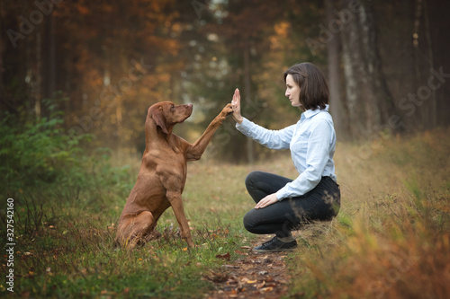 Dog giving a high five to the owner.
