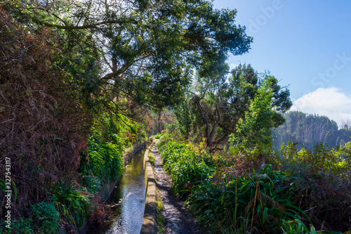 Levada walk through forest on Madeira, Portugal.