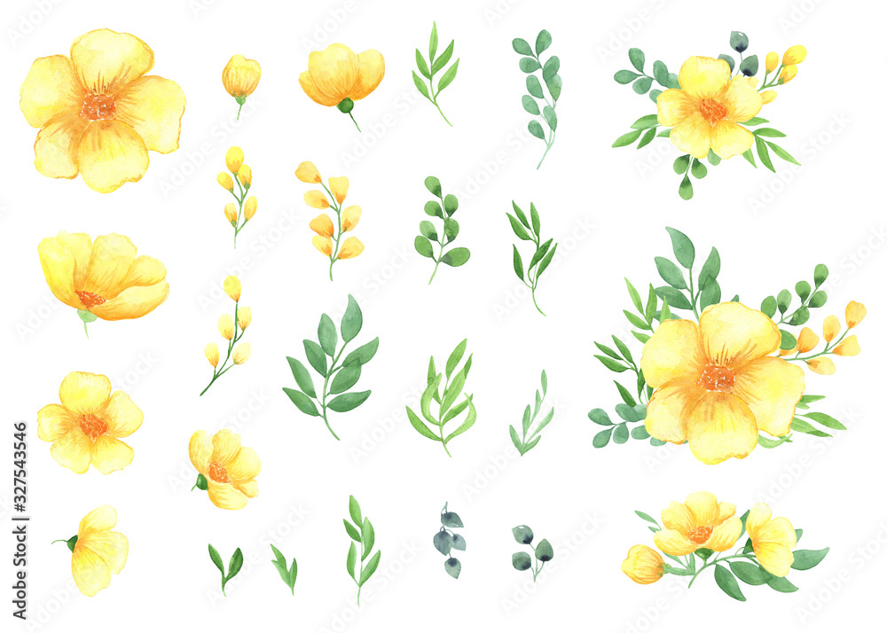 illustration watercolor a set of yellow flowers and green leaves of twigs, floral arrangements isolated on a white background. spring mood. for design, invitations, wedding, decoration